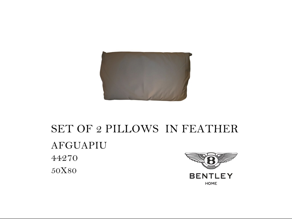 SET OF 2 PILLOWS IN FEATHER