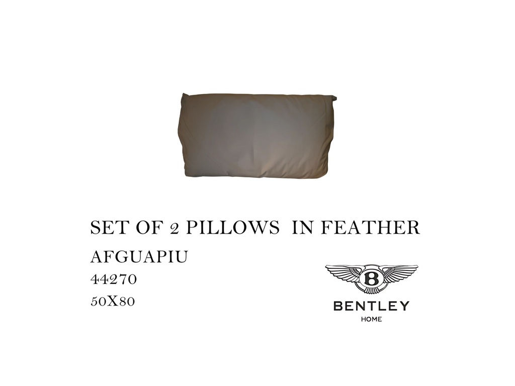 SET OF 2 PILLOWS IN FEATHER