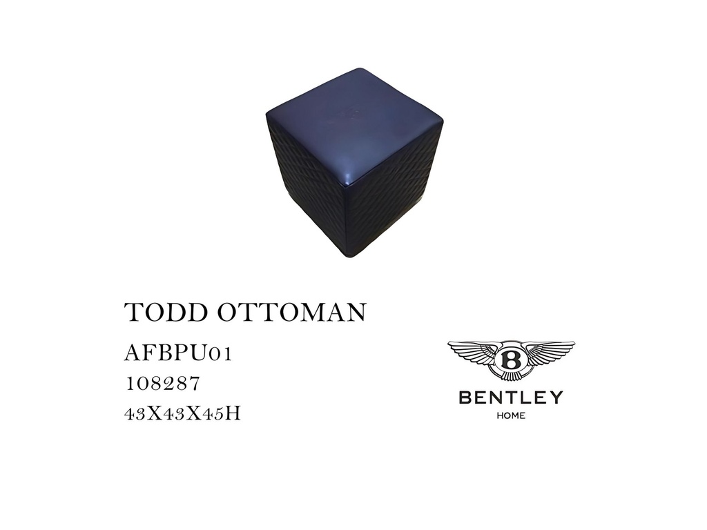 TODD OTTOMAN