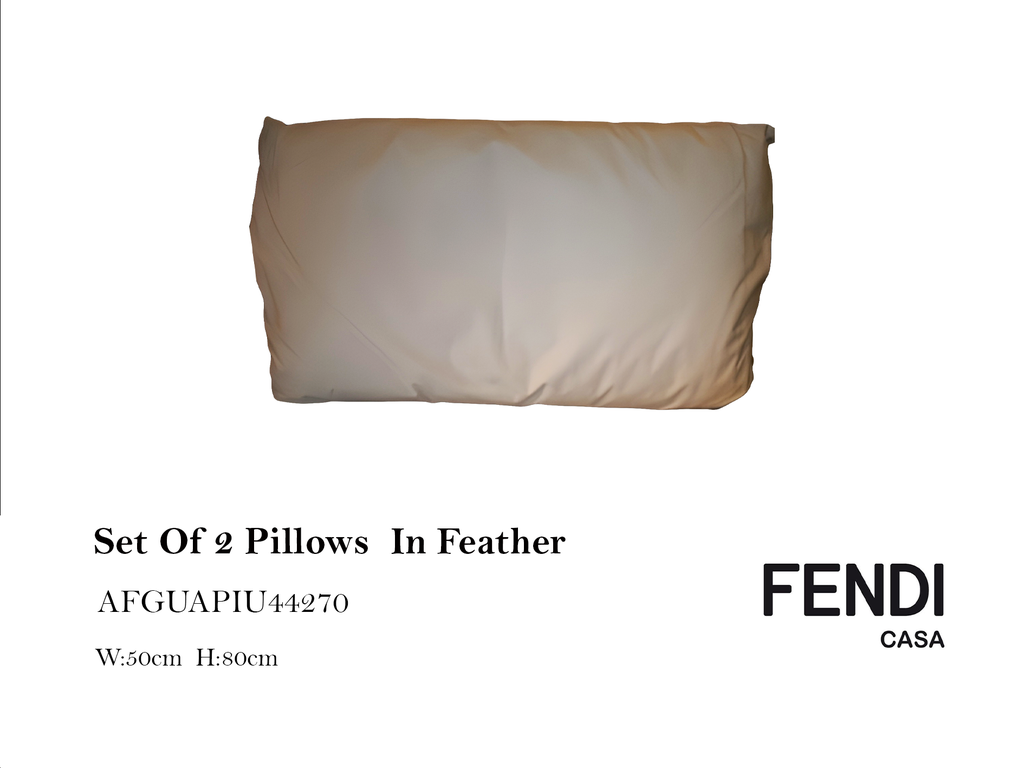 SET OF 2 PILLOWS IN FEATHER