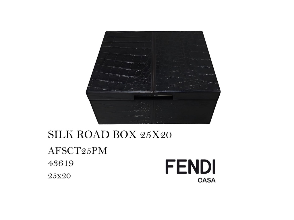 SILK ROAD BOX 25X20