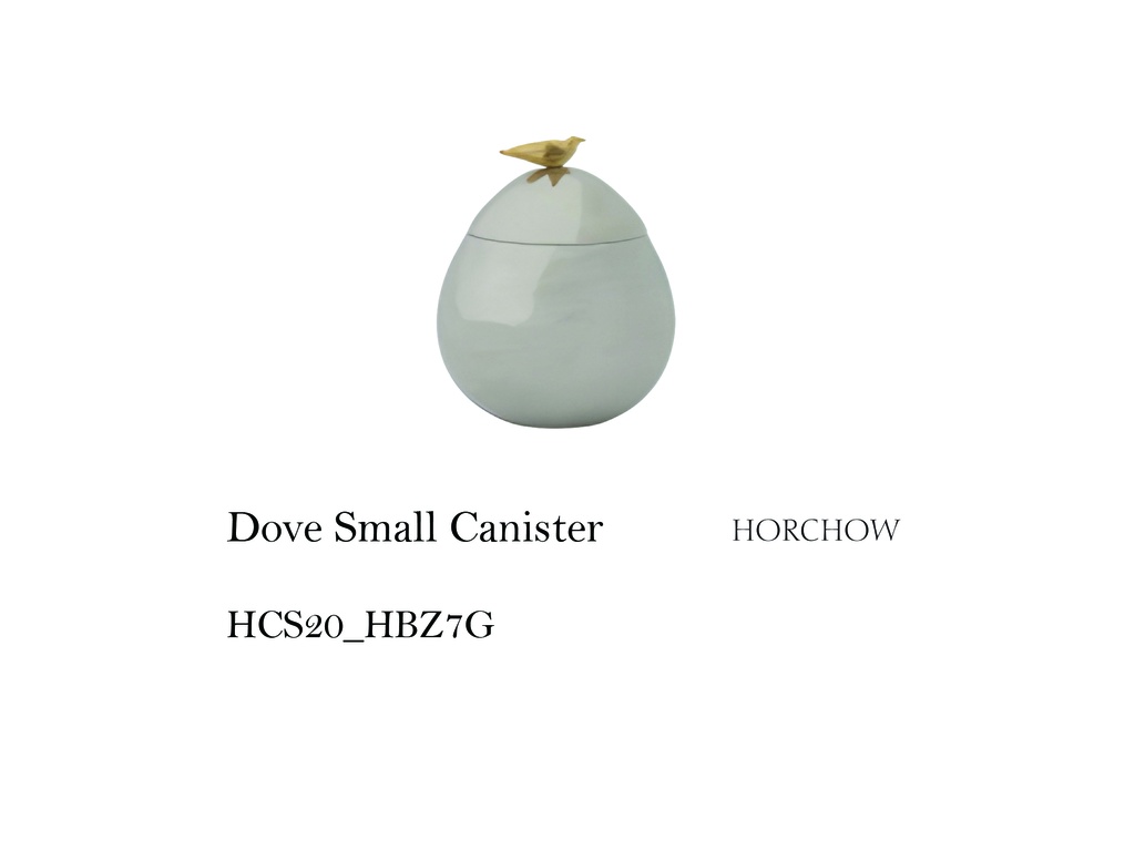 130126 Dove Small Canister