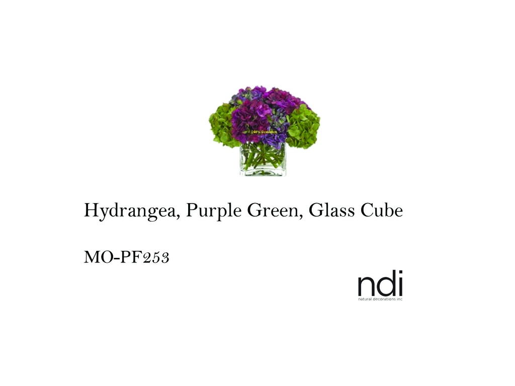 HYDRANGEA, PURPLE GREEN, GLASS CUBE