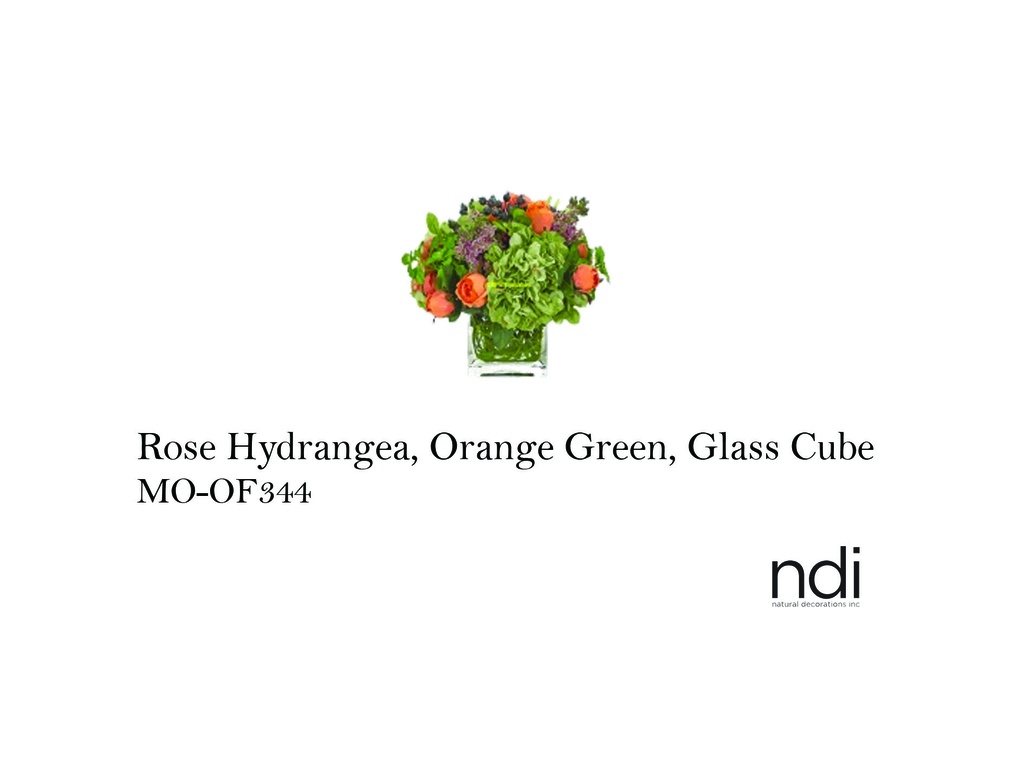 ROSE HYDRANGEA, ORANGE GREEN, GLASS CUBE