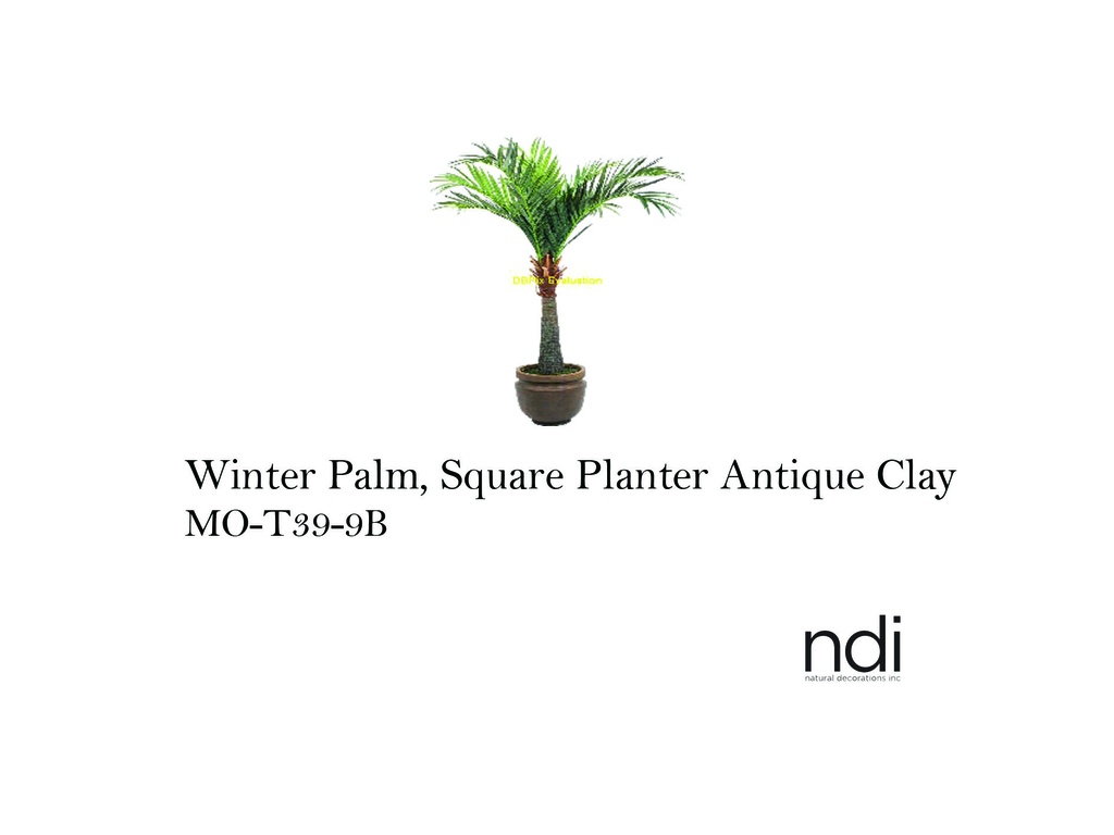 ROYAL PALM, POTTERS JAR, ANTIQUE CLAY