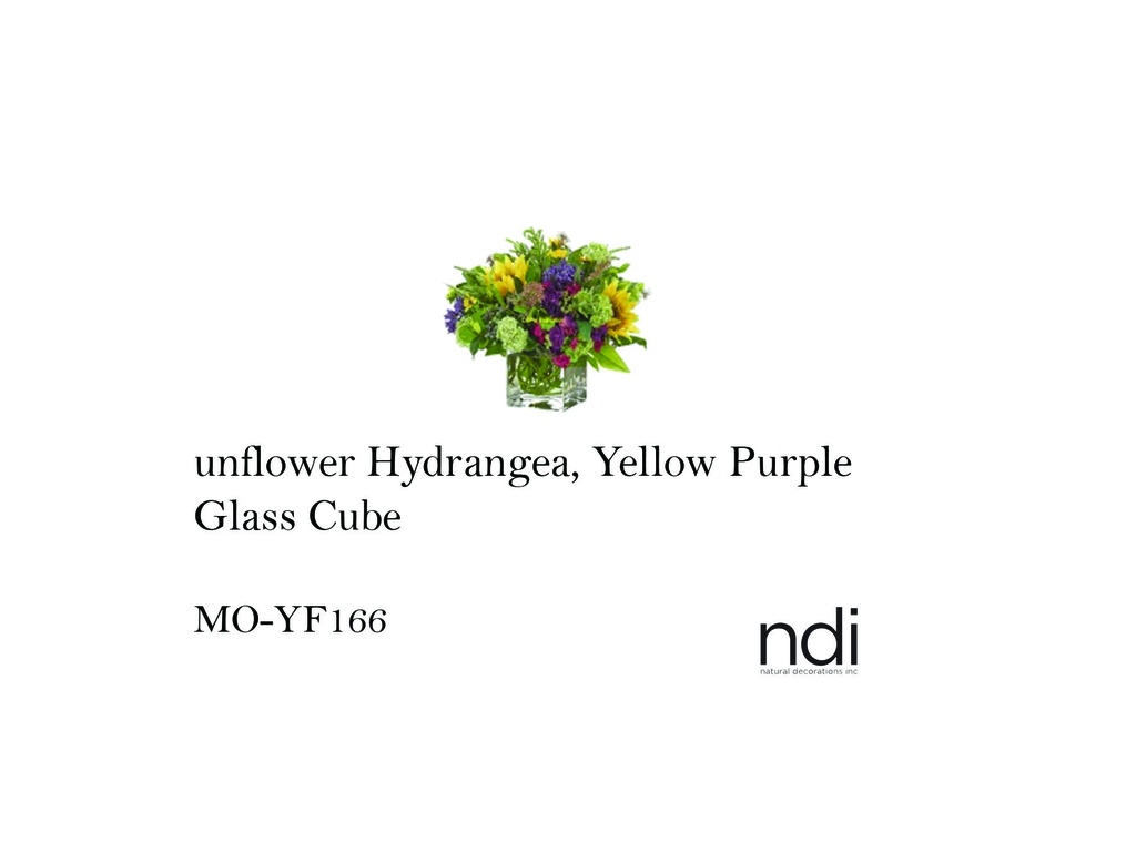 UNFLOWER HYDRANGEA, YELLOW PURPLE, GLASS CUBE
