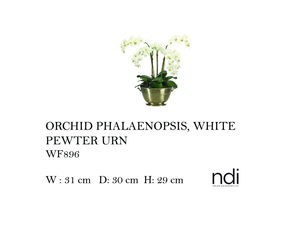 ORCHID PHALAENOPSIS, WHITE, PEWTER URN