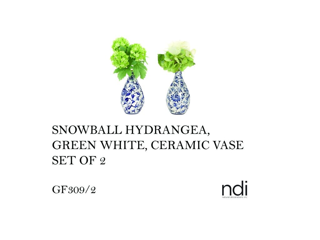SNOWBALL HYDRANGEA, GREEN WHITE, CERAMIC VASE, SET OF 2