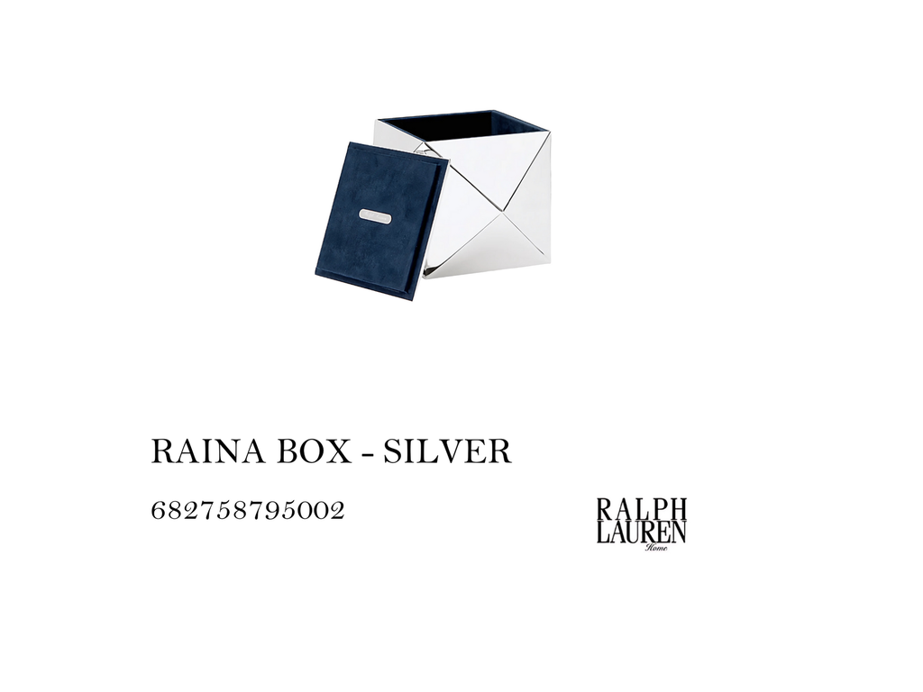 RAINA BOX - SILVER