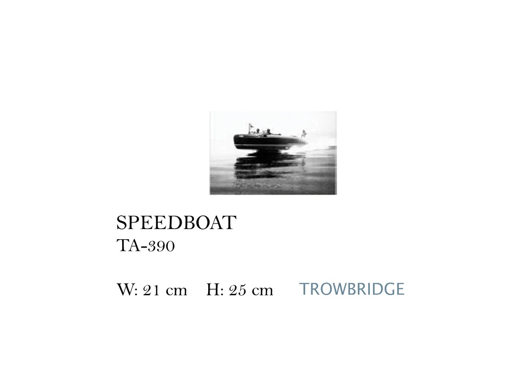 SPEEDBOAT