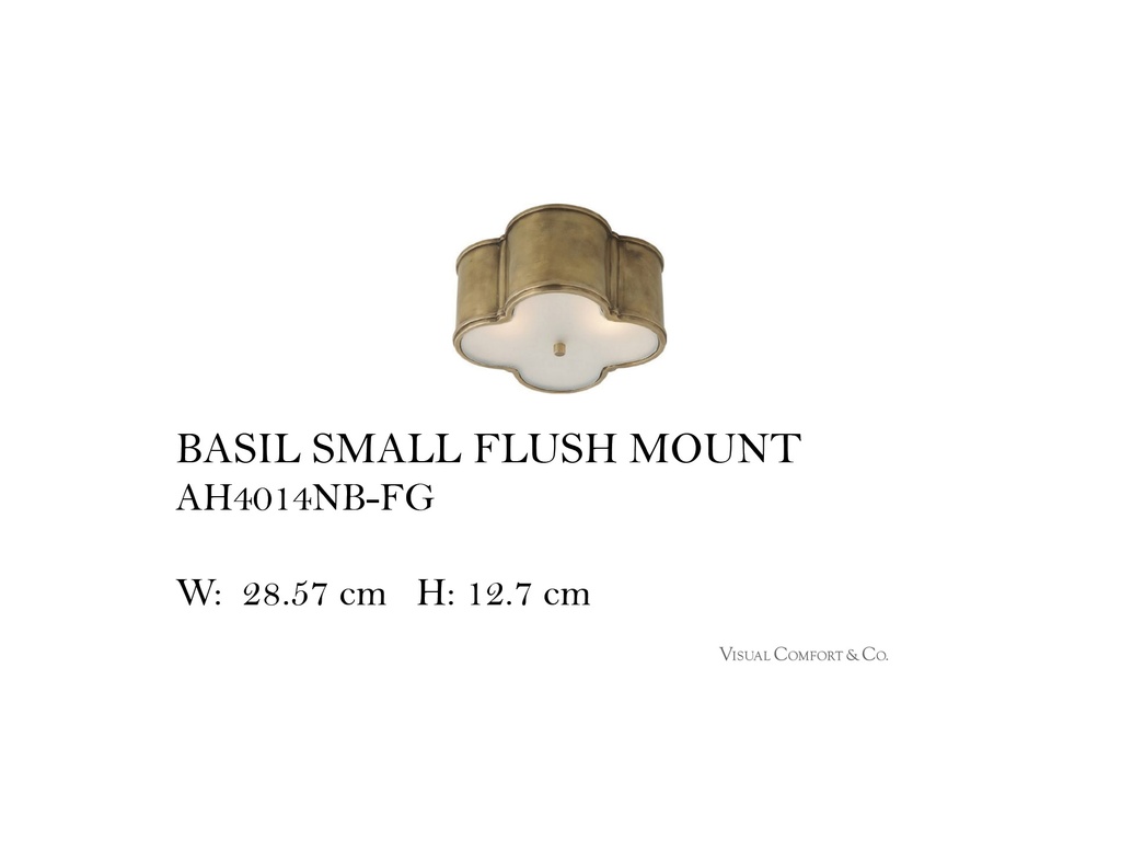 BASIL SMALL FLUSH MOUNT