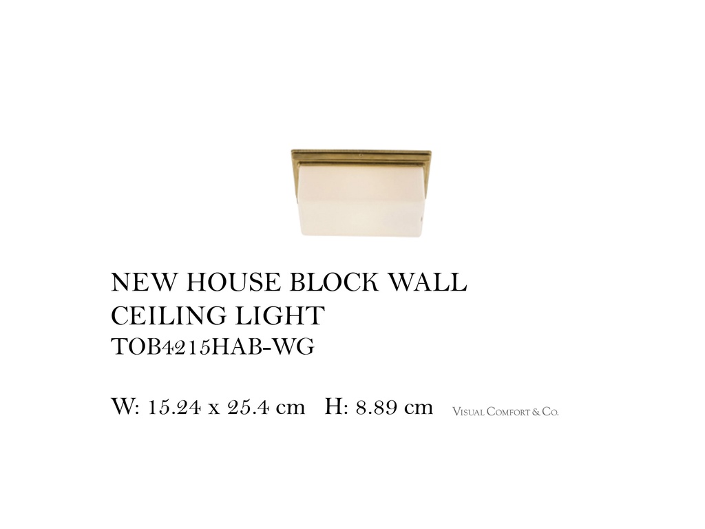NEW HOUSE BLOCK WALL CEILING LIGHT