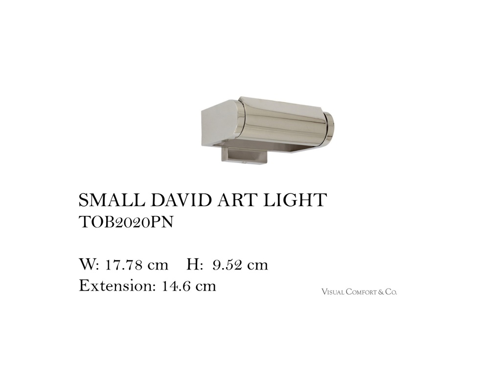 SMALL DAVID ART LIGHT
