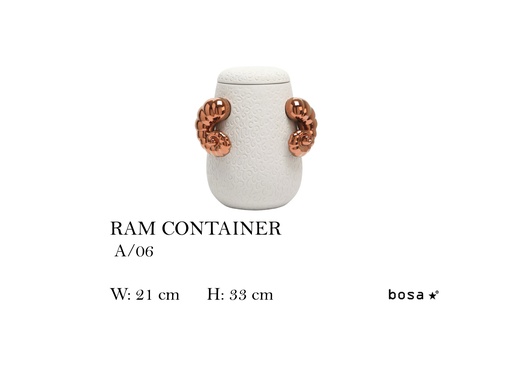 [MHT-001179] RAM CONTAINER