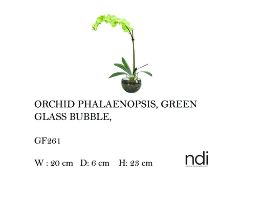 [MHT-004573] ORCHID PHALAENOPSIS GLASS BUBBLE